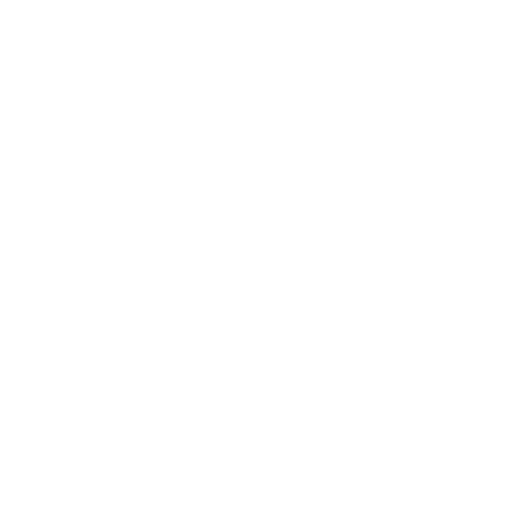 Google Visibility